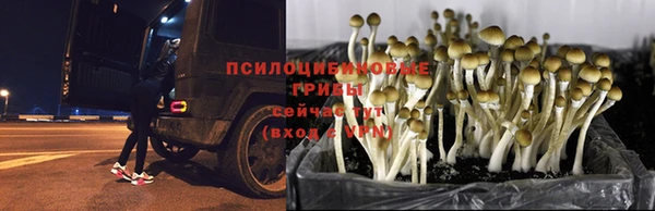 гидропоника Лихославль