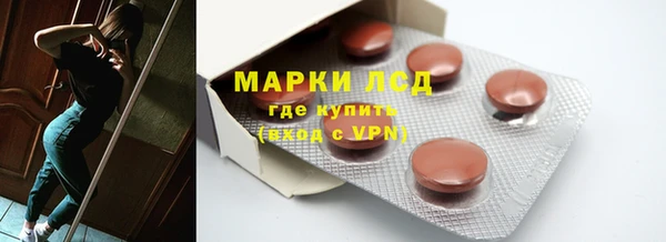 сатива Липки