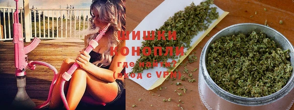 сатива Липки